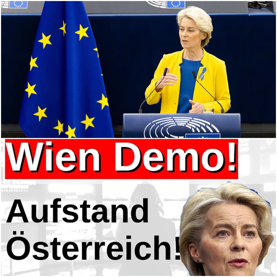 Wien im Aufruhr: Zehntausende fordern das Ende der EU-Politik und den Erhalt der österreichischen Neutralität.TA - BuzzDay