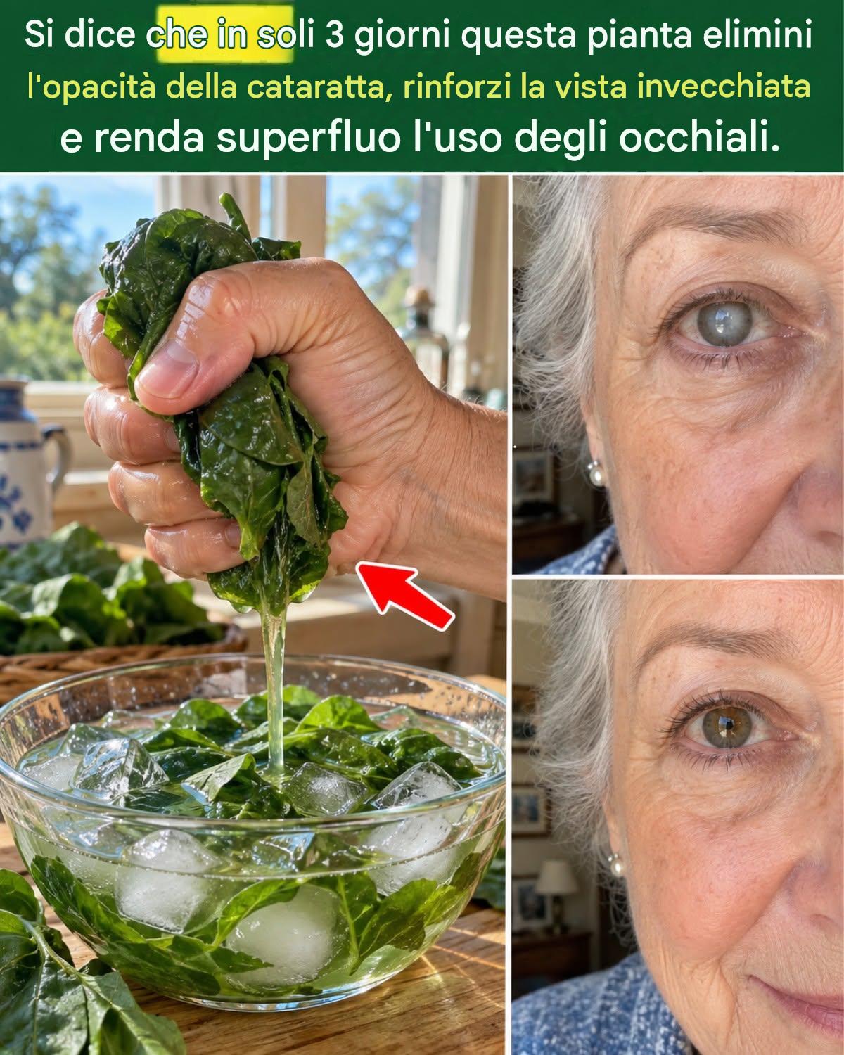 Il rimedio nascosto a base di sedano per il lavaggio oculare che agisce sulla cataratta alla radice_c - BuzzDay