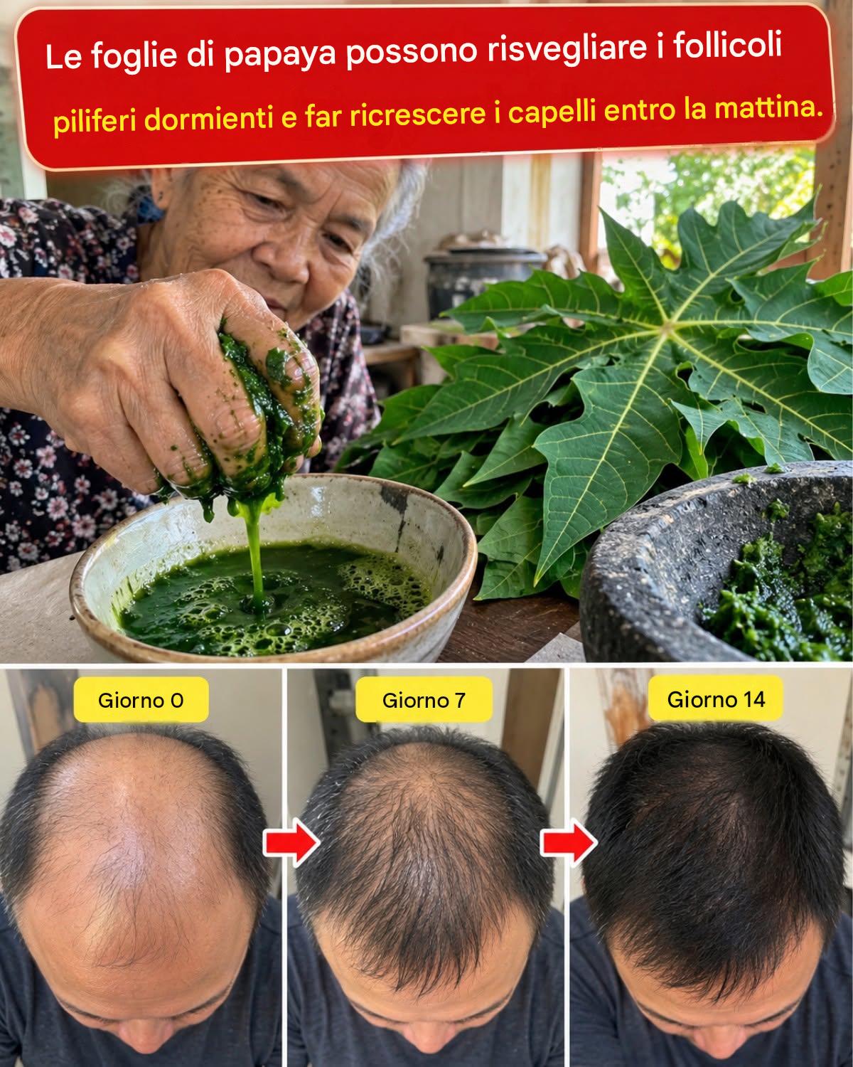 Le foglie di papaya provocano un arrossamento del cuoio capelluto che può risvegliare i capelli dormienti_C - BuzzDay