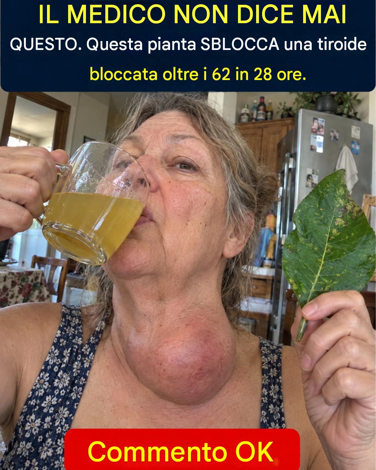 La foglia che risveglia una tiroide pigra e inghiotte il gonfiore_c - BuzzDay